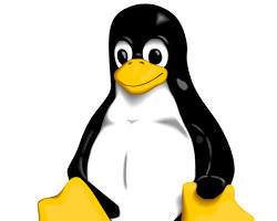 Linux